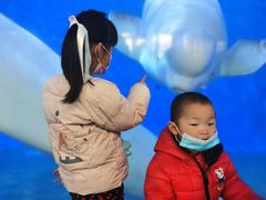 -泉城欧乐堡海洋极地世界