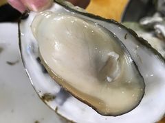 桑拿蚝-蚝专家(北滘店)