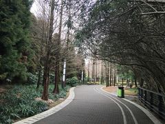 -苏州河梦清园环保主题公园