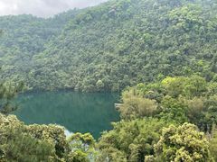 -鼎湖山风景区