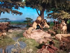 -国家自然博物馆