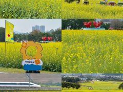 -光明小镇欢乐田园