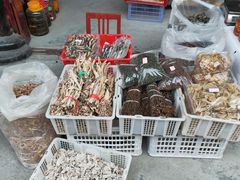 -后柳水乡