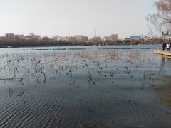 -济南大明湖景区