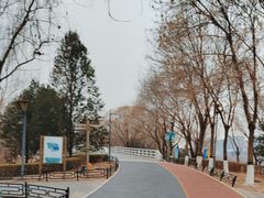 -大兴滨河森林公园