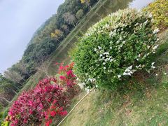 -叶挺将军纪念园