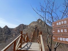 -大岭沟猕猴桃谷风景区