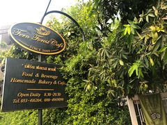 -Fern Forest Cafe