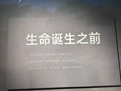 -四川大学博物馆
