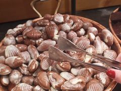 -可可和巧克力博物馆