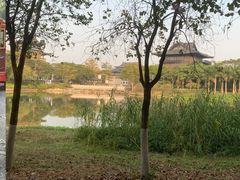 -海珠湖公园