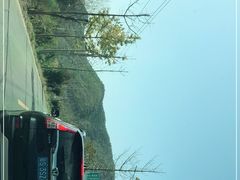 -千年银杏谷文化旅游区