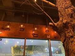 -同仁四季椰子鸡(宝安壹方城店)