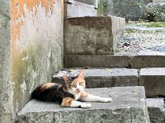 -雨花胜境