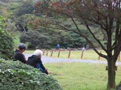 -汉拿树木园