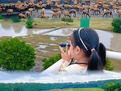 -溱湖国家湿地公园