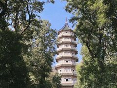 -灵谷景区