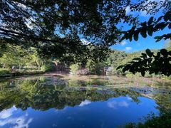 -野象谷景区