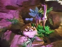 -寻龙山风景旅游区