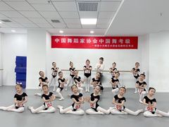 -西安小天鹅艺术团(金花路校区)