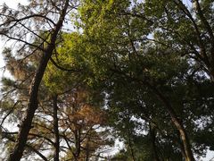-张鸟园农家乐(张鸟园店)