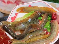 -水巷子·巴掌腰片重庆火锅(云纺店)