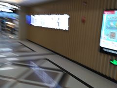 -SFC上影百联影城(大上海4DX店)