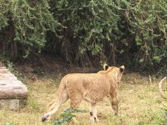 -石家庄市动物园