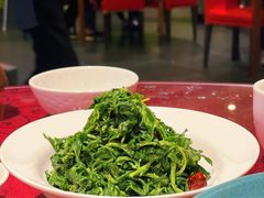 凉拌枸杞叶-金鼎轩(亚运村店)