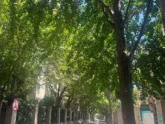 -潮界(LU·ONE凯德晶萃广场店)