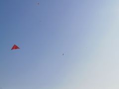 -明故宫遗址公园