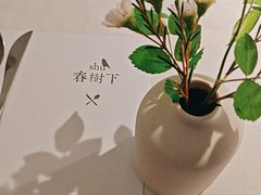 -春树下·树屋花房西餐厅(罍街AS1980店)