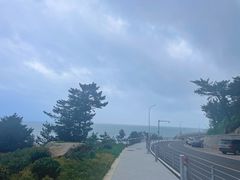 -崂山仰口游览区