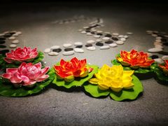 -明月山天沐温泉度假村