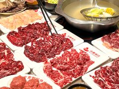 -合意桐坑牛肉粿·鲜牛肉火锅(嵩山总店)