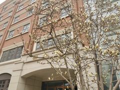 -北京八中游泳馆