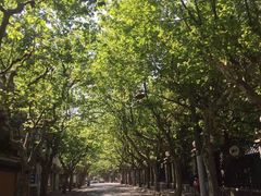 Ginger&nbsp;by&nbsp;the&nbsp;park-Ginger(兴国路店)