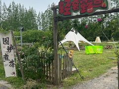 -上海长兴岛郊野公园