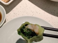 -船歌·鱼水饺青岛菜(金狮广场店)