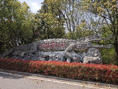-中国扬子鳄村