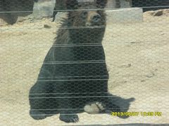 -鄂尔多斯野生动物园