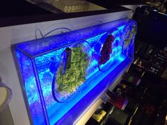 iphone_upload_pic-南京汤山紫清湖生态旅游温泉度假区