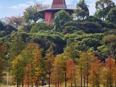 -东莞植物园