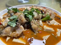 -煲来饱去冷水鱼
