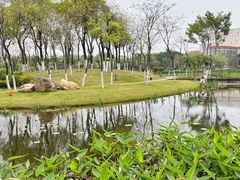-映月湖公园