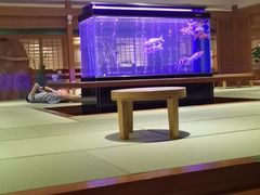-大江户·温泉洗浴(浑南店)