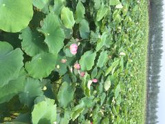 漩门湾国家湿地公园-漩门湾国家湿地公园