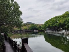 -白马涧龙池景区