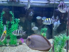 -烟台海昌鲸鲨海洋公园