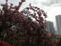 -贮水山儿童公园